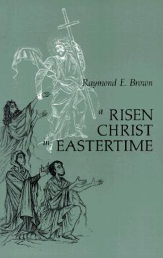 a risen christ in eastertime,essays on the gospel narratives of the resurrection (en Inglés)
