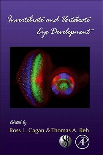invertebrate and vertebrate eye development