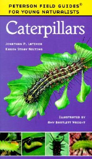 caterpillars (in English)