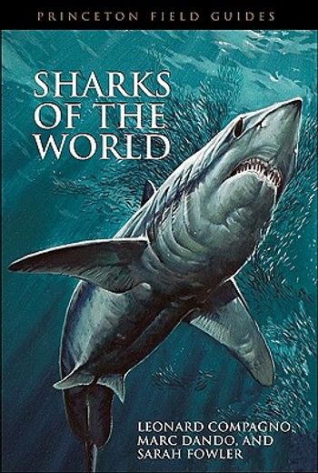sharks of the world (en Inglés)