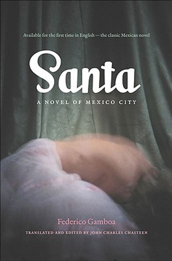 santa,a novel of mexico city
