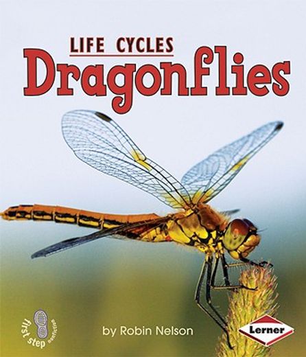 dragonflies (en Inglés)
