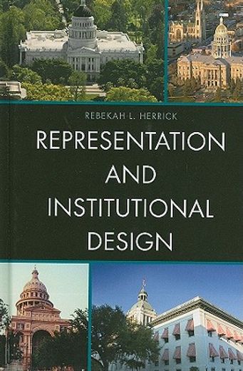 representation and institutional design