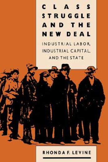 class struggle and the new deal,industrial labor, industrial capital and the state