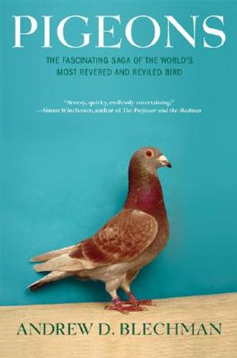 pigeons,the fascinating saga of the world´s most revered and reviled bird