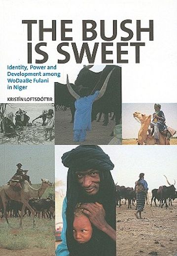 the bush is sweet,globalization, identity and power among wodaabe fulani in niger (in English)