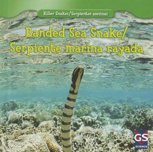 banded sea snake / serpiente marina rayada
