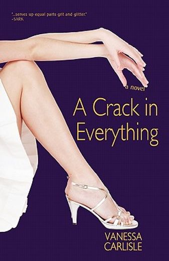 a crack in everything,a novel