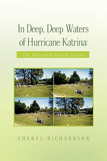 in deep deep waters of hurricane katrina,the aftermath untold stories (en Inglés)