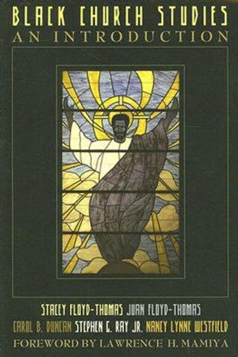 black church studies,an introduction (en Inglés)