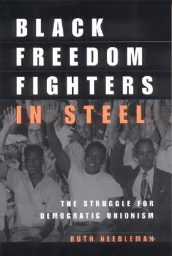 black freedom fighters in steel,the struggle for democratic unionism