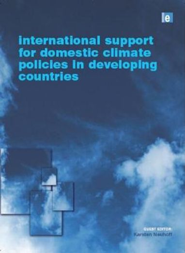 International Support for Domestic Climate Policies in Developing Countries (in English)