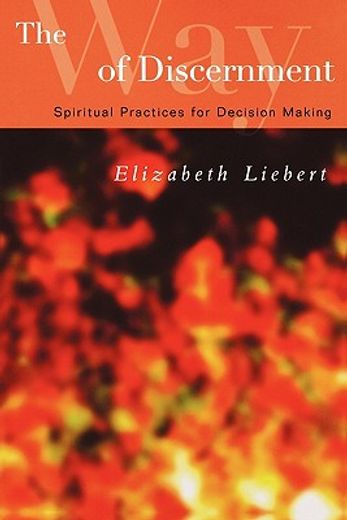 the way of discernment,spiritual practices for decision making