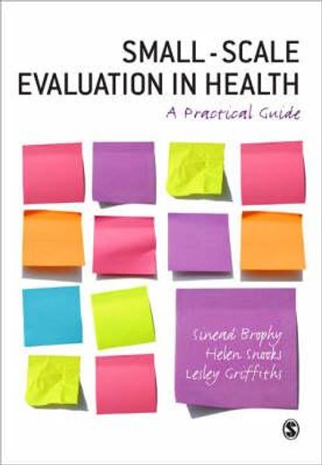 Small-Scale Evaluation in Health: A Practical Guide (en Inglés)
