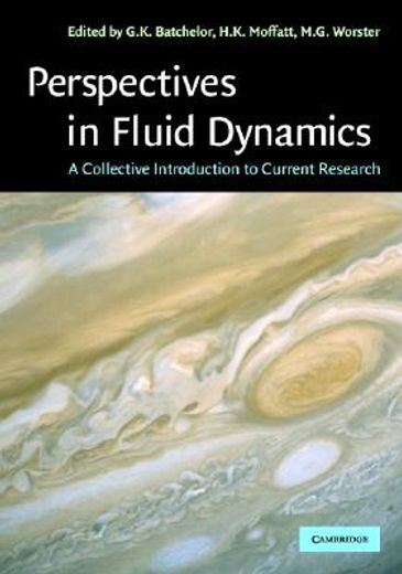 perspectives in fluid dynamics,a collective introduction to current research