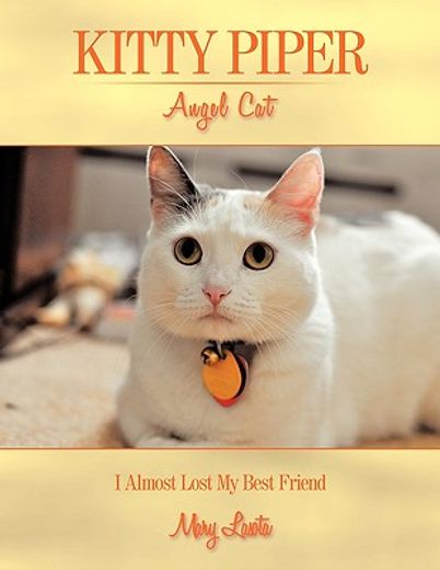 kitty piper angel cat,i almost lost my best friend