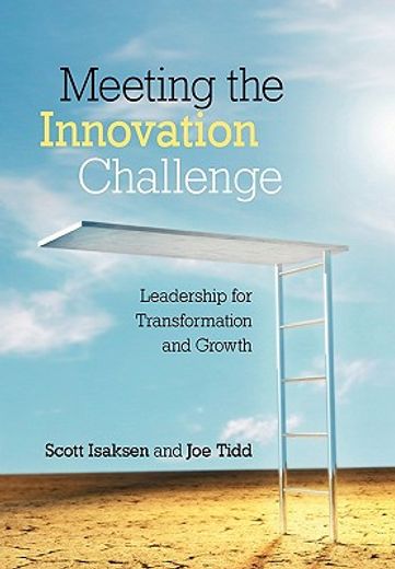 meeting the innovation challenge,leadership for transformation and growth