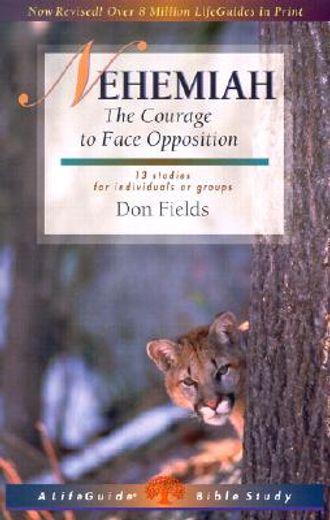 nehemiah: courage in the face of opposition