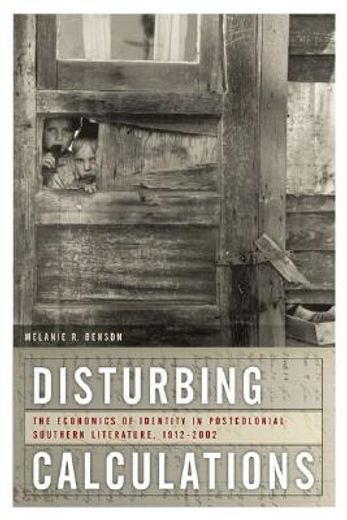 disturbing calculations,the economics of identity in postcolonial southern literature, 1912-2002
