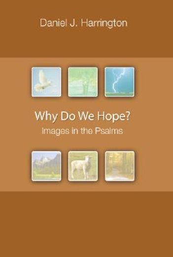 why do we hope?,images in the psalms