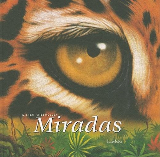 Miradas = In the Blink of an Eye (in Spanish)