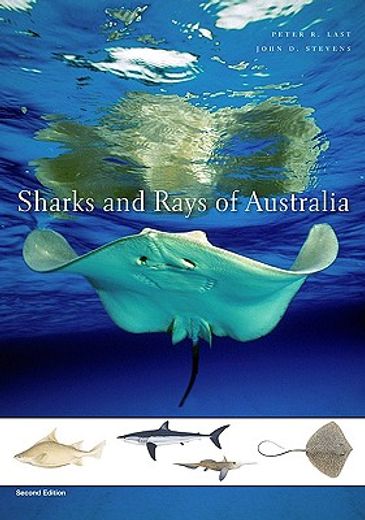 sharks and rays of australia