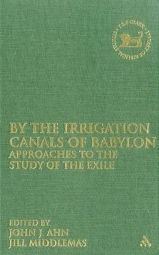 by the irrigation canals of babylon,approaches to the study of the exile