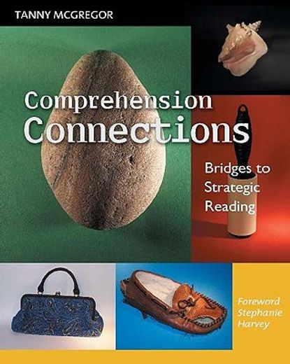 comprehension connections,bridges to strategic reading