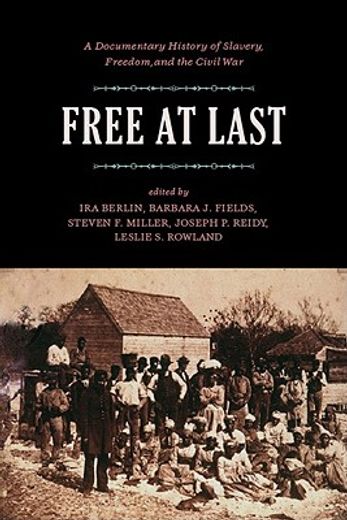 free at last,a documentary history of slavery, freedom, and the civil war