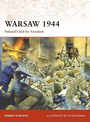 Warsaw 1944: Poland's Bid for Freedom (in English)