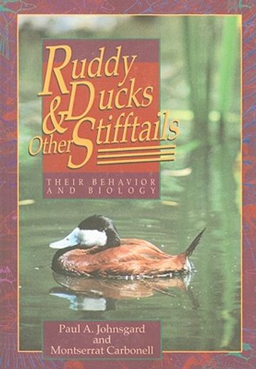 ruddy ducks & other stifftails,their behavior and biology
