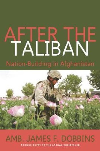 after the taliban,nation-building in afghanistan