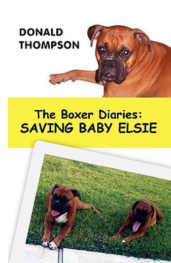 the boxer diaries: saving baby elsie