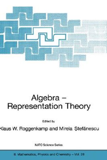 algebra - representation theory (en Inglés)