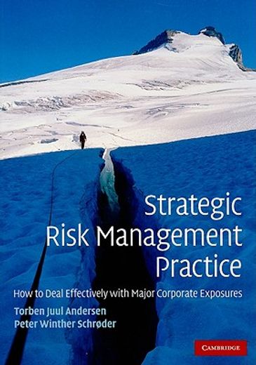 strategic risk management practice,how to deal effectively with major corporate exposures