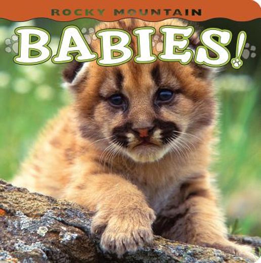 rocky mountain babies! (en Inglés)