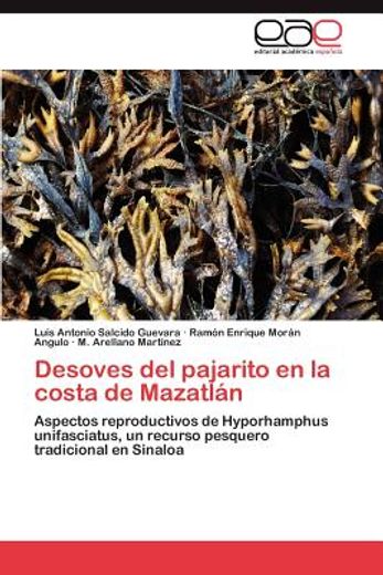 desoves del pajarito en la costa de mazatl n (in Spanish)