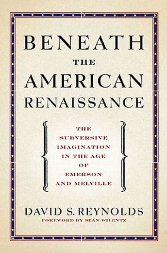 beneath the american renaissance,the subversive imagination in the age of emerson and melville