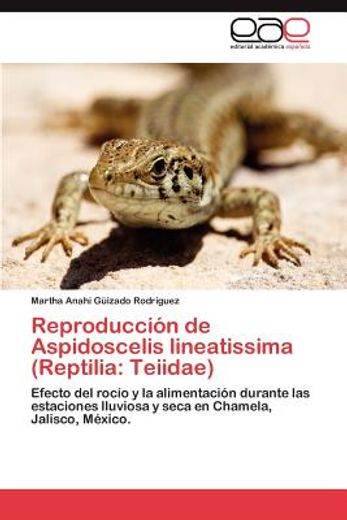 reproducci n de aspidoscelis lineatissima (reptilia: teiidae)