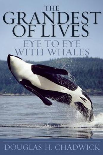 the grandest of lives,eye to eye with whales (in English)