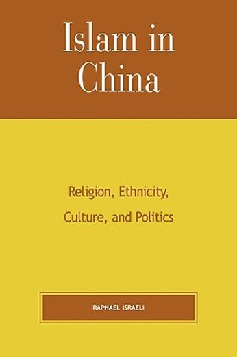 islam in china,religion, ethnicity, culture, and politics