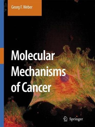 Molecular Mechanisms of Cancer (in English)