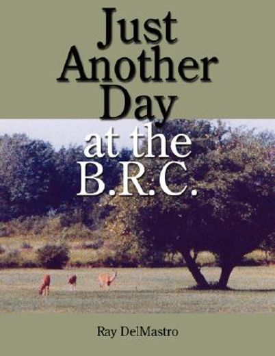 just another day at the b.r.c.