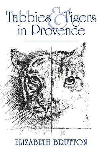 tabbies and tigers in provence