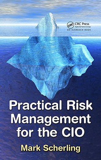 Practical Risk Management for the CIO (en Inglés)