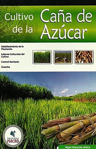 Cultivo De Caña De Azúcar (in Spanish)