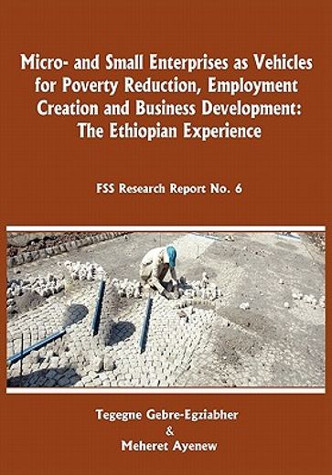 micro-and small enterprises as vehicles for poverty reduction, employment creation and business development,the ethiopian experience