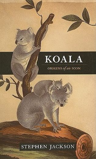 koala,origins of an icon