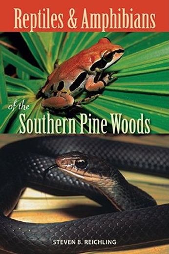 reptiles and amphibians of the southern pine woods