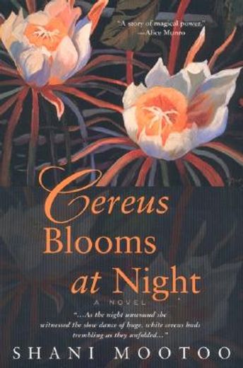 cereus blooms at night (in English)
